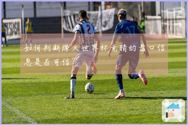 如何判断烽火世界杯竞猜的盘口信息是否可信？