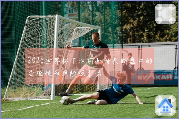 2026世界杯下注前如何判断盘口的合理性和风险吸引力