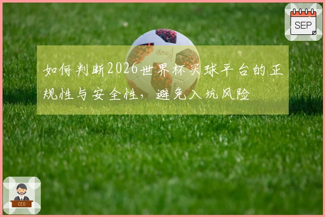 如何判断2026世界杯买球平台的正规性与安全性，避免入坑风险