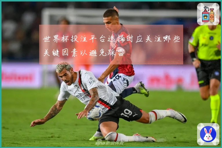 世界杯投注平台选择时应关注哪些关键因素以避免踩雷