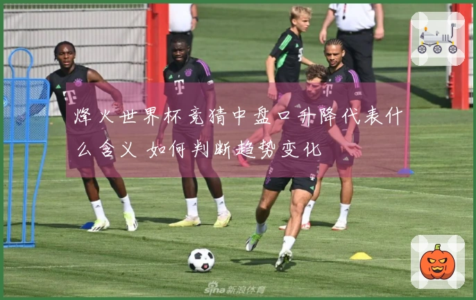 烽火世界杯竞猜中盘口升降代表什么含义 如何判断趋势变化
