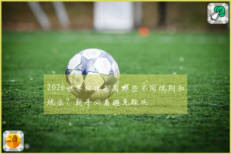 2026世界杯体彩有哪些不同规则和玩法？新手必看避免踩坑
