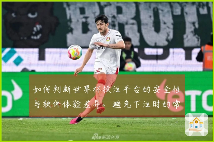 如何判断世界杯投注平台的安全性与软件体验差异，避免下注时的常见问题