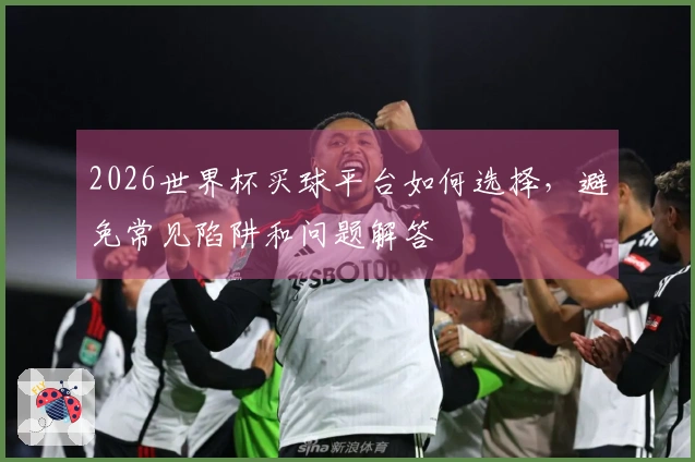 2026世界杯买球平台如何选择，避免常见陷阱和问题解答